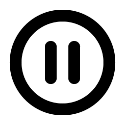pause circle bold icon