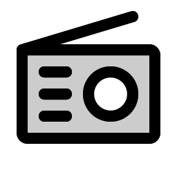 radio duotone icon