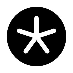 asterisk simple fill icon