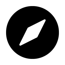compass fill icon