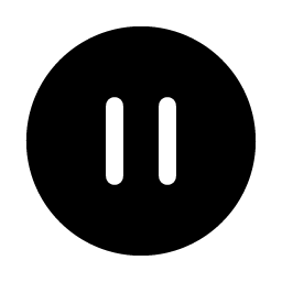 pause circle fill icon