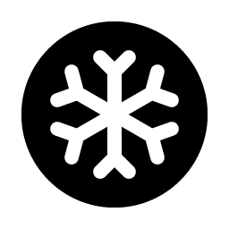 snowflake fill icon