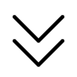 caret double down light icon