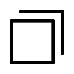 copy simple light icon