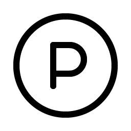 letter circle p light icon