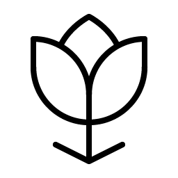 flower tulip thin icon
