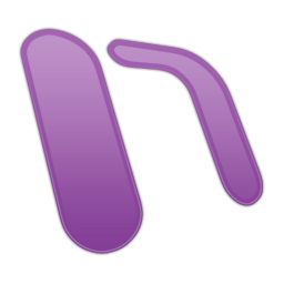 OneNote icon