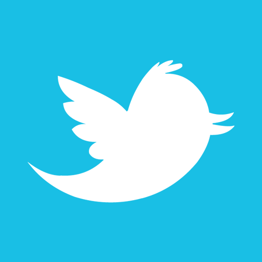 Twitter alt 2 icon
