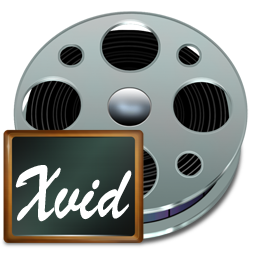 fichiers xvid icon