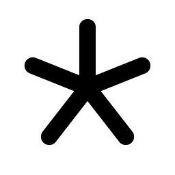 asterisk simple bold