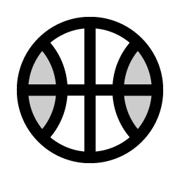 basketball duotone