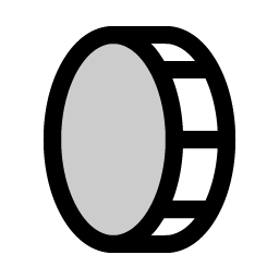 coin vertical duotone