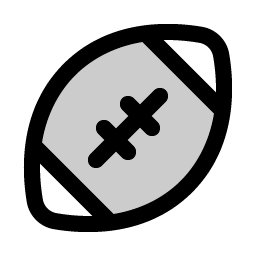 Football Duotone icon