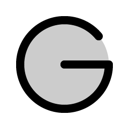 Google Logo Duotone icon