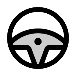 steering wheel duotone