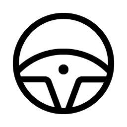 steering wheel light